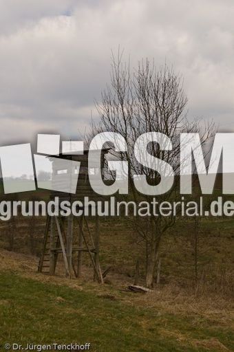 Hochstände (50 von 154).jpg